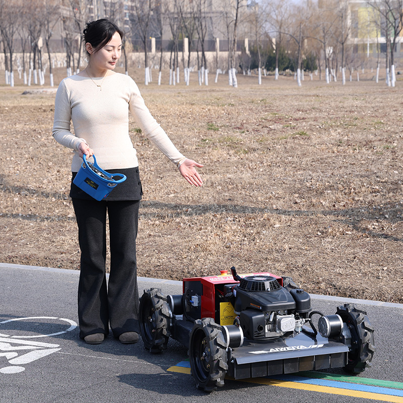 Aangepaste robotmaaier met afs - Robot Wheel recensie en prijs