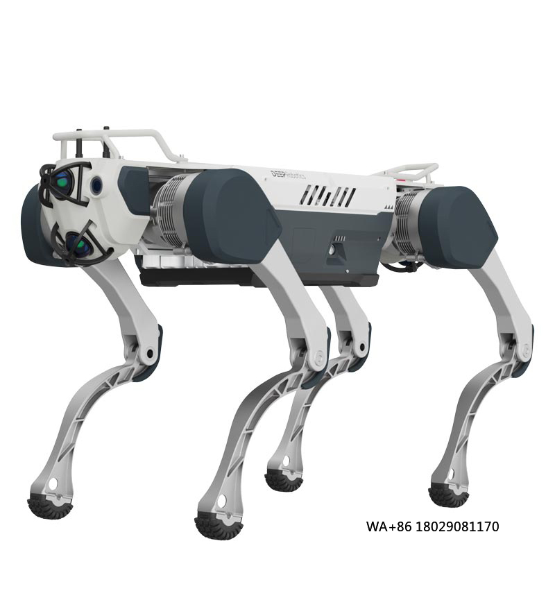 Kunstmatige intelligentie bere - Robot Remote Control recensie en prijs